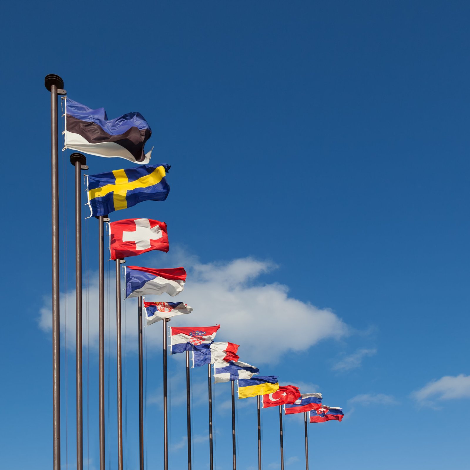 Cómo exportar productos del Mercosur a la Unión Europea: requisitos esenciales